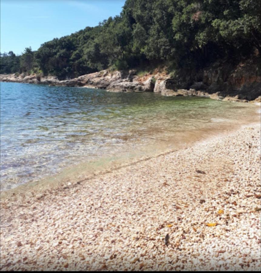 Alenka By The Sea Labin (Istria)
