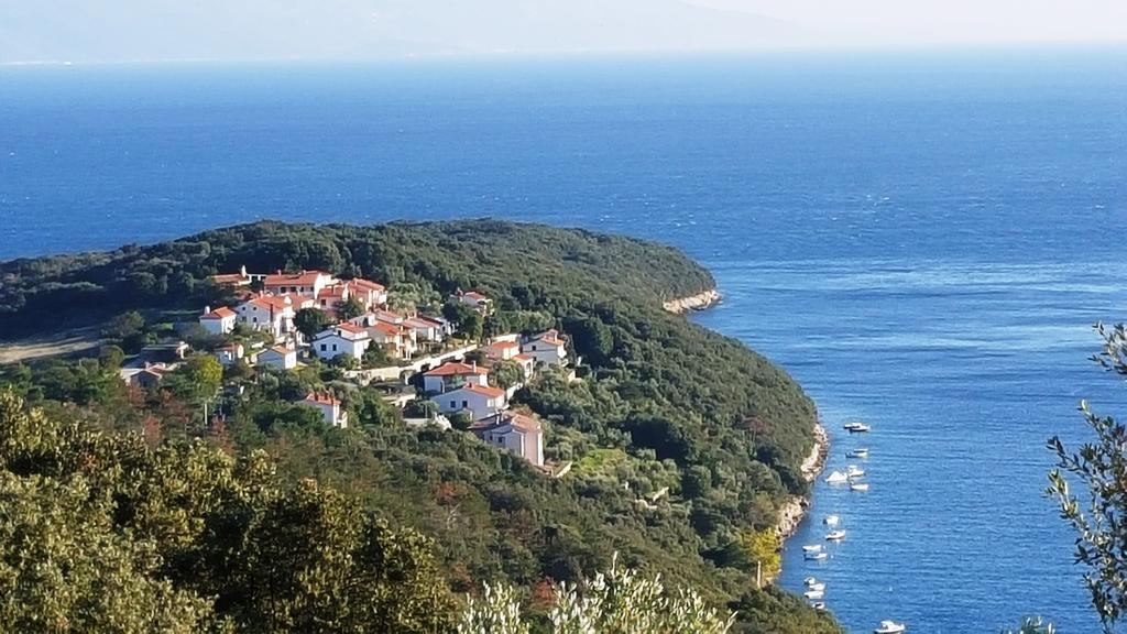 Alenka Apartment Labin (Istria)