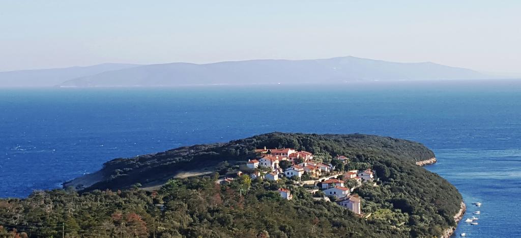 Apartment Alenka Labin (Istria)