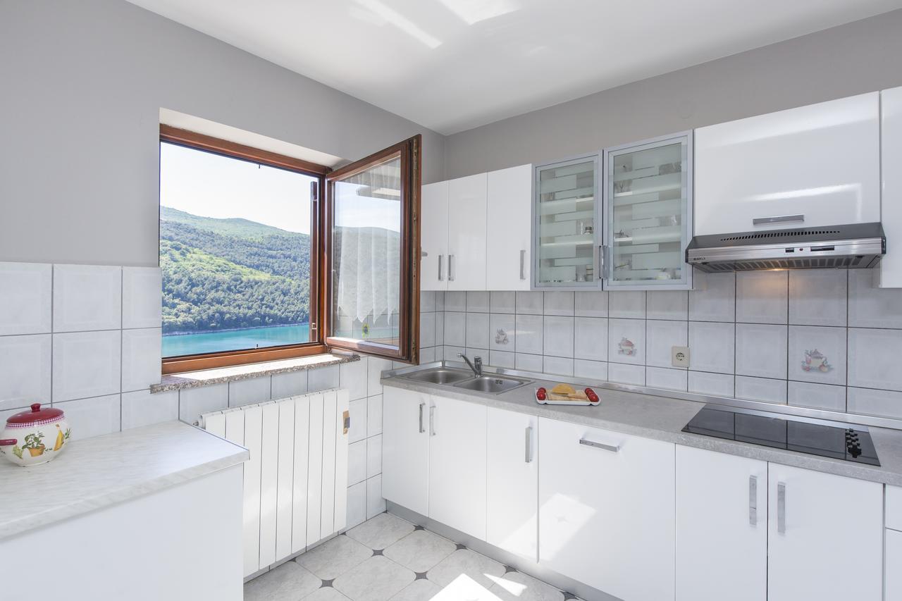 Alenka Apartment Labin (Istria)